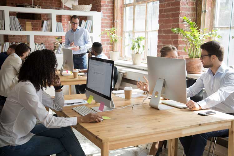 Multi-ethnic employees working on computers in modern office room